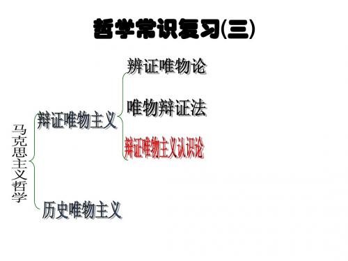 认识论复习y