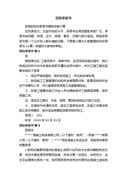 实用的投标承诺书模板合集十篇