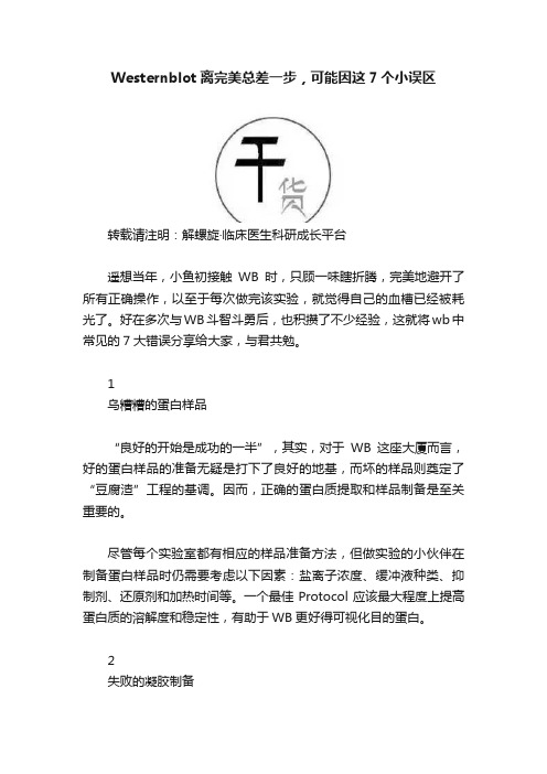 Westernblot离完美总差一步，可能因这7个小误区