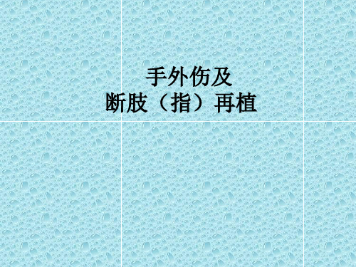 手外伤     大学医学课件