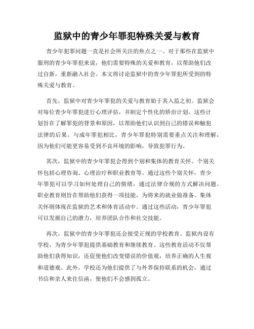 监狱中的青少年罪犯特殊关爱与教育