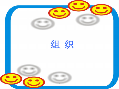 组织设计的主要原则ppt课件