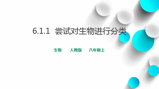 人教版八年级生物上册 尝试对生物进行分类 教学