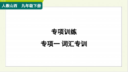 2024年人教版中考英语复习专项训练专项一词汇专训