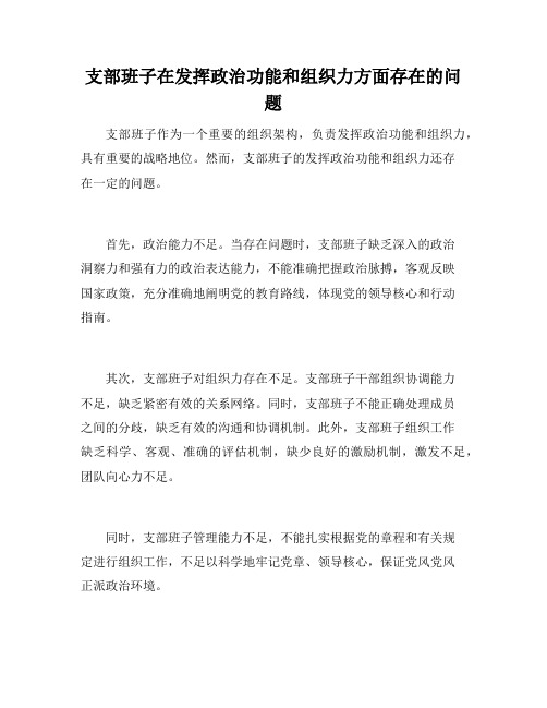 支部班子在发挥政治功能和组织力方面存在的问题