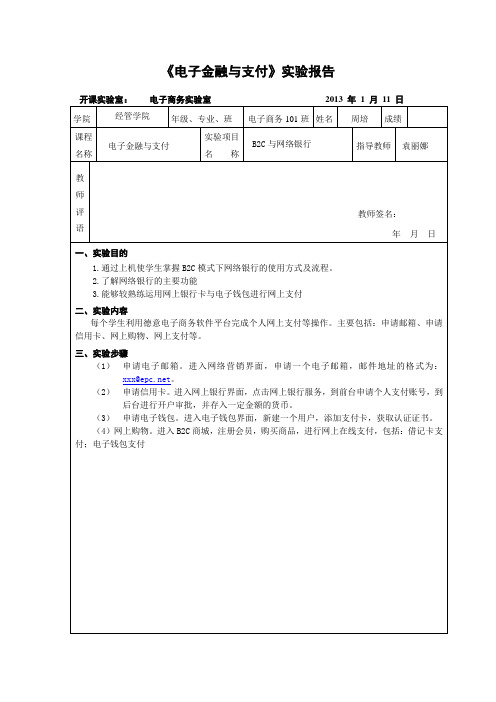 电子金融支付报告范例