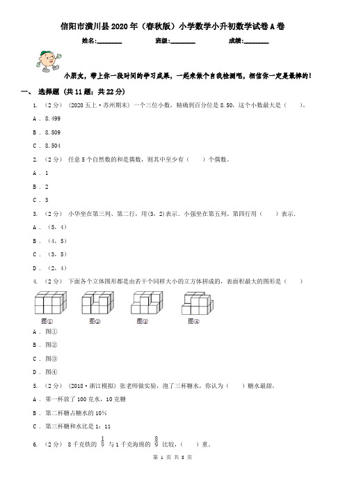 信阳市潢川县2020年(春秋版)小学数学小升初数学试卷A卷