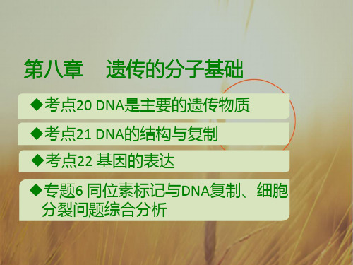 最新-2021 A版 高考生物第八章 遗传的分子基础 精品