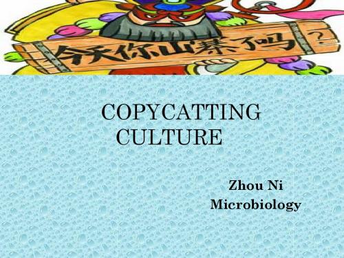 山寨文化-COPYCAT CULTURE