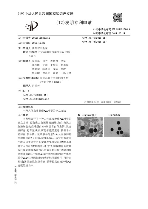 一种人体血液肿瘤PDX模型的建立方法[发明专利]