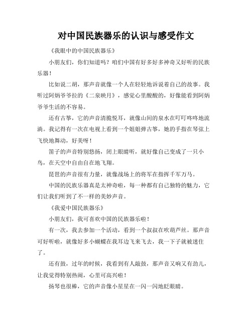 对中国民族器乐的认识与感受作文