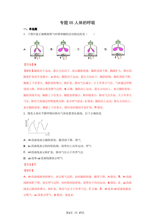 专题05 人体的呼吸(解析版)