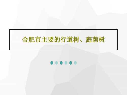 合肥市主要的行道树、庭荫树共50页