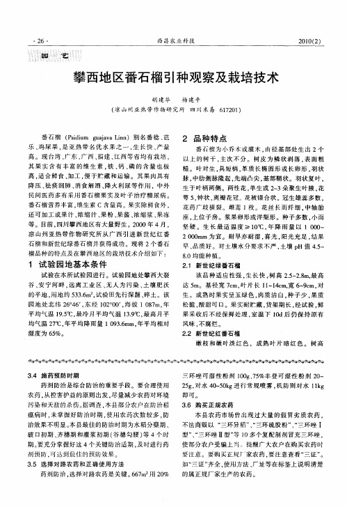 攀西地区番石榴引种观察及栽培技术