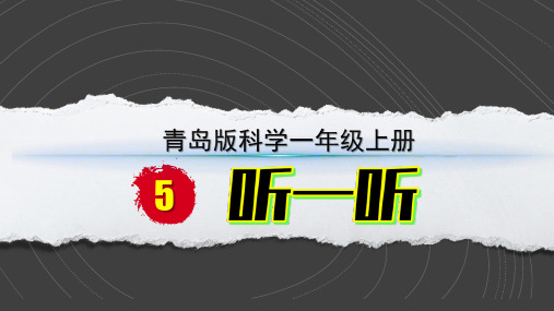 小学科学新青岛版六三制一年级上册第二单元第5课《听一听》教学课件(2024秋)