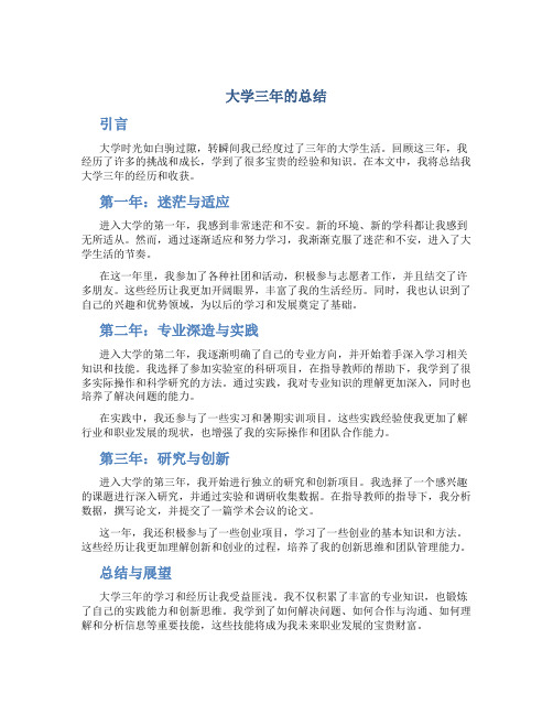 大学三年的总结