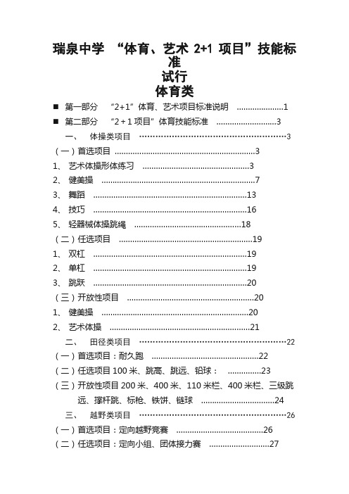 体育艺术+考核标准体育类