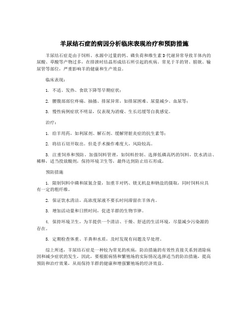 羊尿结石症的病因分析临床表现治疗和预防措施