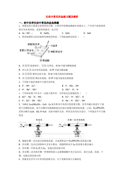 生活中常见的盐练习题及解析