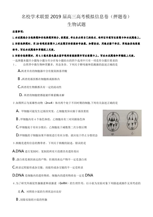 兴宁市第一中学名校学术联盟2019届高三高考模拟信息卷(押题卷)生物含答案