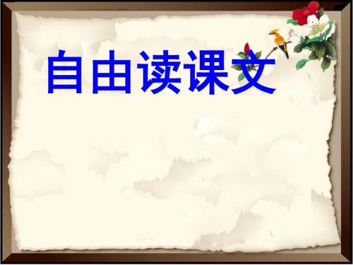 四年级下册语文课件3.7《自然之道》 人教新课标 (共19张ppt)