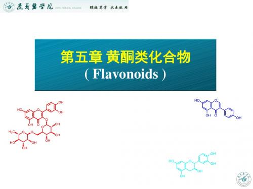 5第五章  黄酮类化合物