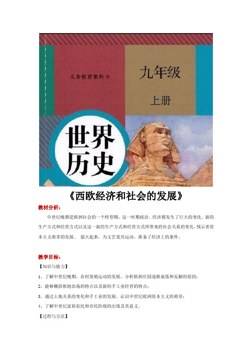 部编人教版九年级历史上册第13课《西欧经济和社会的发展》精美教案