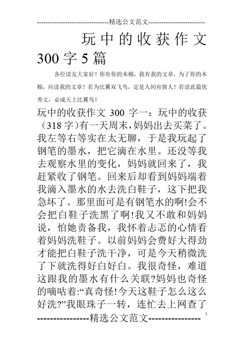 玩中的收获作文300字5篇_0
