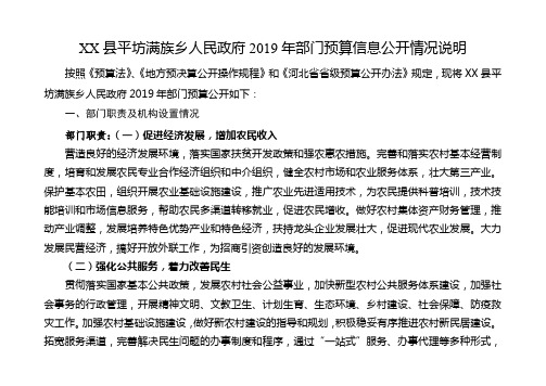 XX县平坊满族乡人民政府2019年部门预算信息公开情况说明【模板】