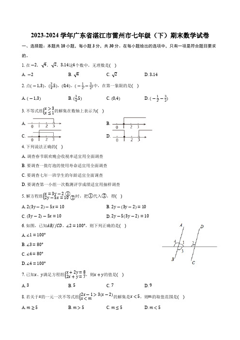 广东省湛江市雷州市2023-2024学年七年级下学期7月期末考试数学试卷(含答案)