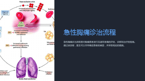 急性胸痛诊治流程