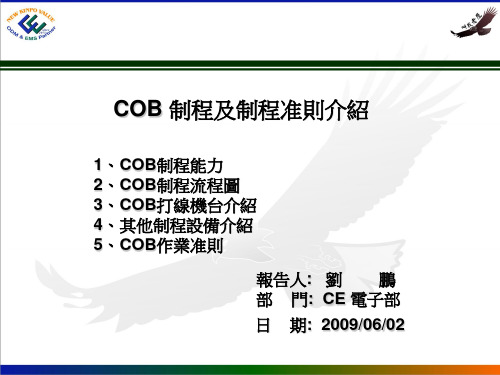 COB制程及制程作业准则