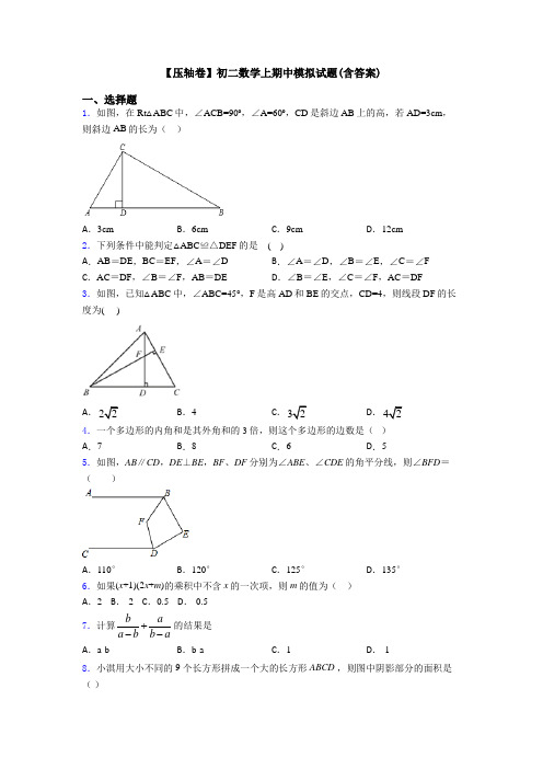 【压轴卷】初二数学上期中模拟试题(含答案)