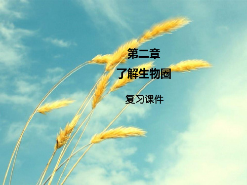 了解生物圈复习ppt 人教版PPT精选课件