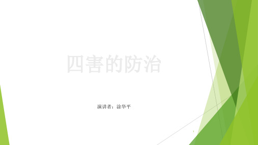 四害的防治PPT精选文档