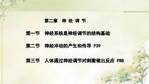 新教材浙科版高中生物选择性必修1稳态与调节第二章神经调节 教学课件