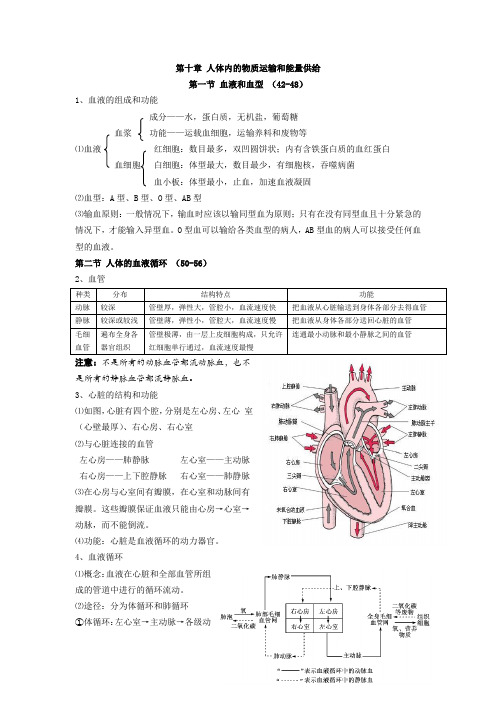 最新七年级生物下第十章人体内的物质运输和能量供给复习提纲