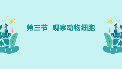 《观察动物细胞》公开课课件