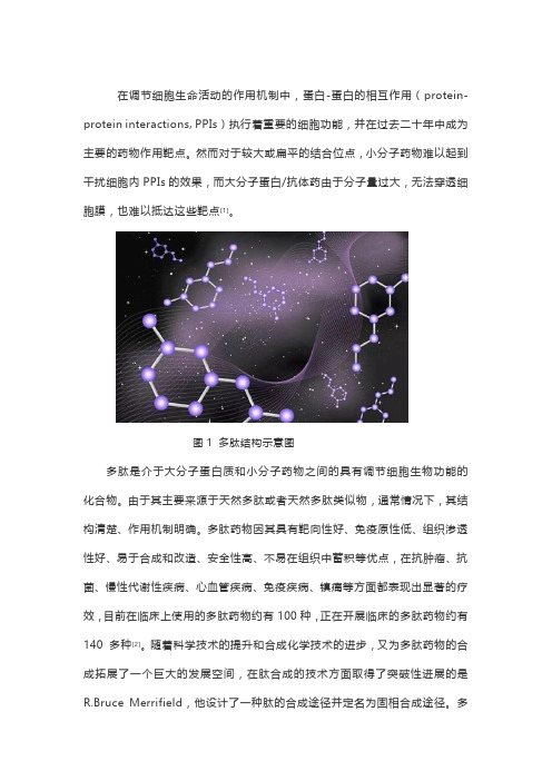 多肽综述及热门多肽产品