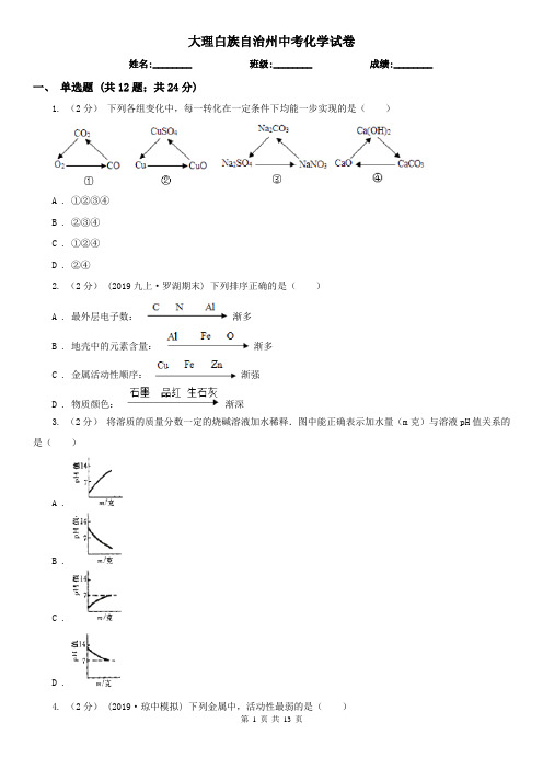 大理白族自治州中考化学试卷  