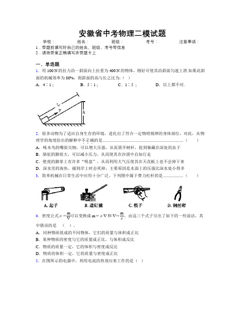 安徽省中考物理二模试题附解析