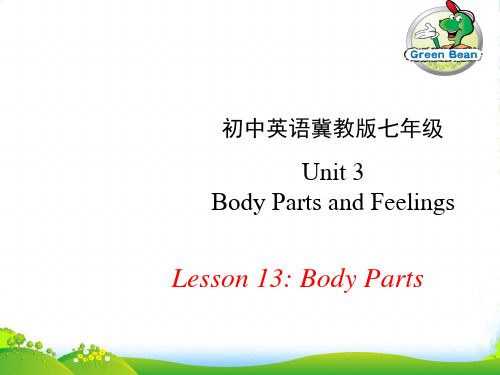 冀教七年级英语上册 Unit 3 Lesson 13Body Parts(共23张PPT)