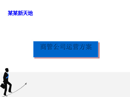 商业经营管理公司运营方案