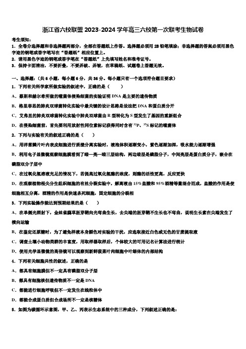 浙江省六校联盟2023-2024学年高三六校第一次联考生物试卷含解析