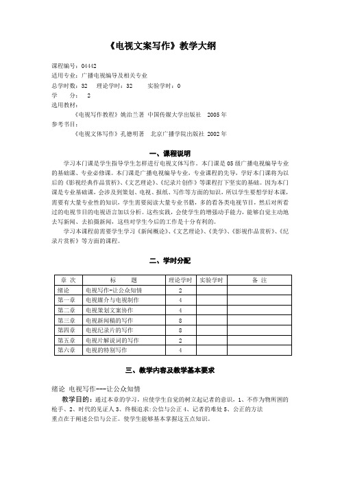 电视文案写作教学大纲.doc