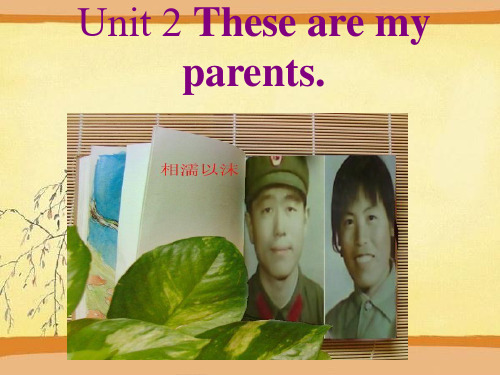 外研版七年级英语上Module 2 Unit 2 These are my parents教学课件共17张PPT含听力