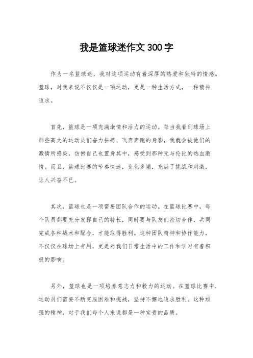 我是篮球迷作文300字