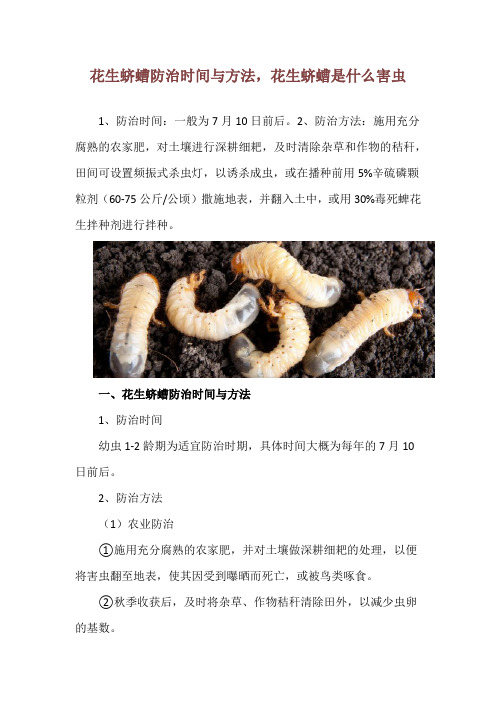 花生蛴螬防治时间与方法,花生蛴螬是什么害虫