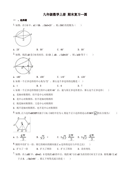 柳州市柳北区九年级上《圆》期末复习试卷(有答案)