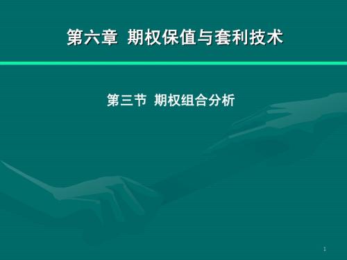 6.3 期权组合分析